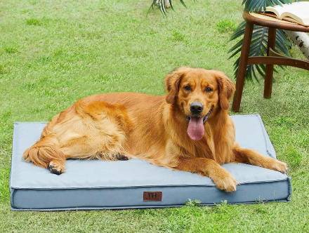 Car Mattress 1